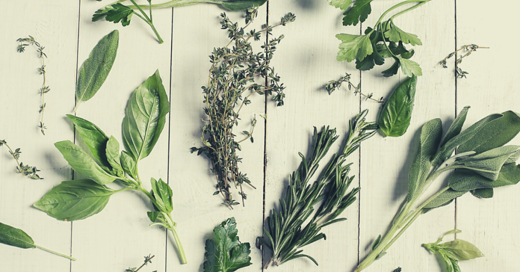 Spezie_Percorso Nutrizione